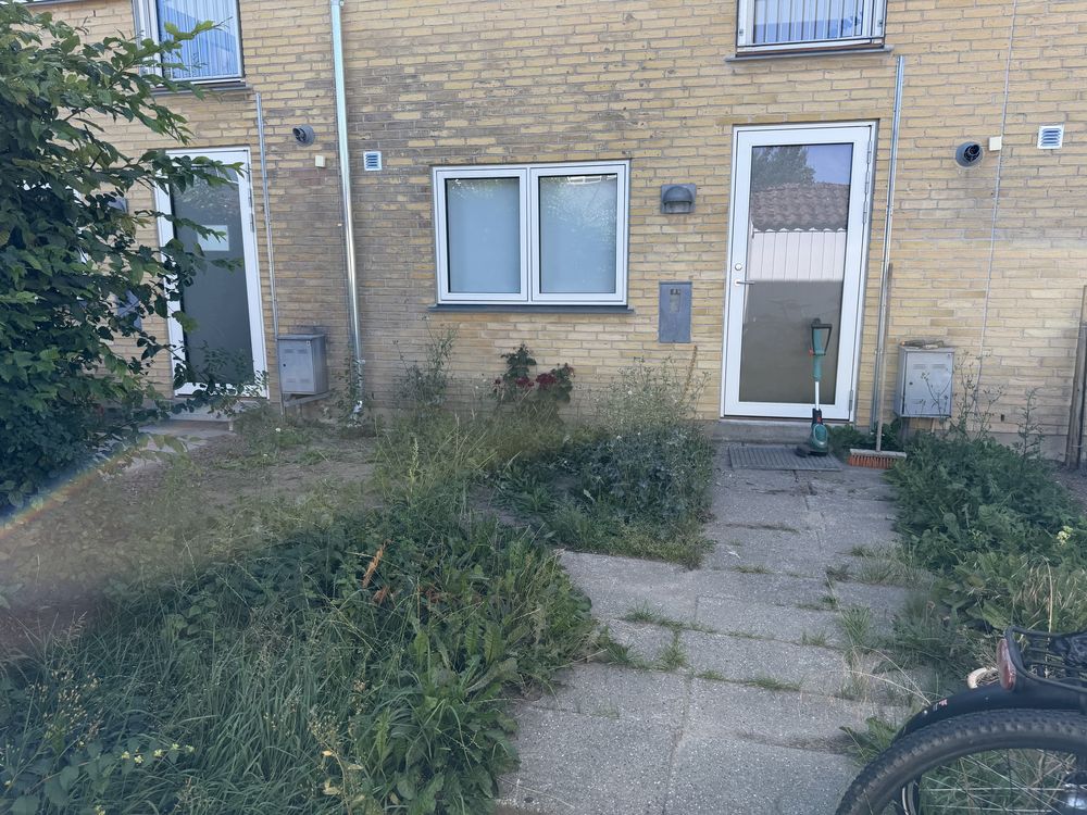 Overgroet gårdhave før oprydning