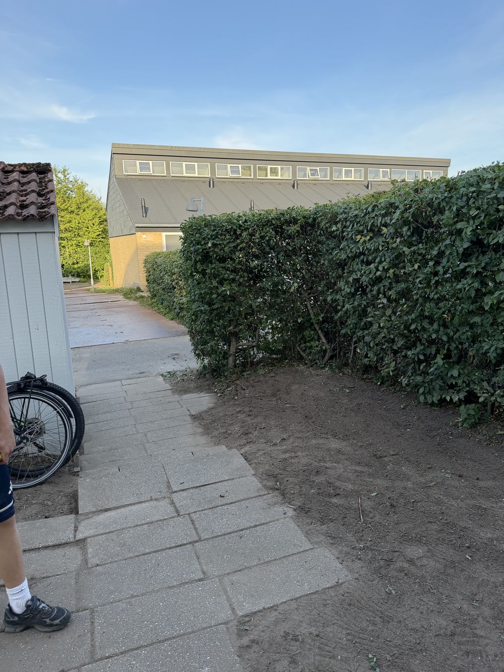Sti langs hæk efter oprydning